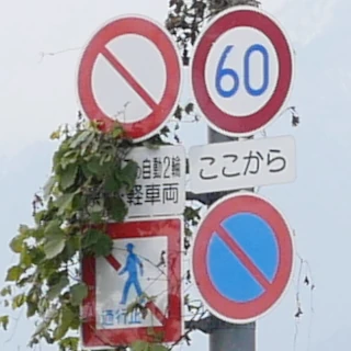 北小松南交差点付近のつる植物が絡まる通行禁止標識など